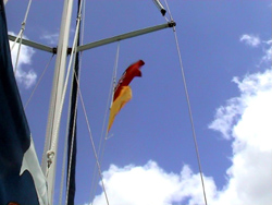 Anguilla Road Bay: bandiere britannica e gialla