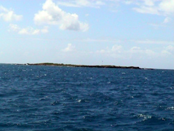 Anguillita Island