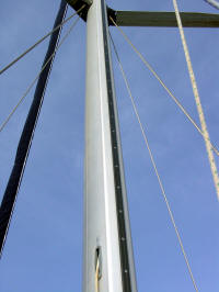 Intero albero