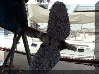 La nostra max-prop...