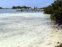 Anegada: vista dal bar dell'isola