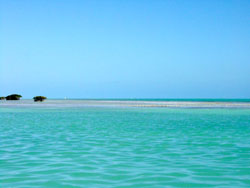 Anegada: la barriera corallina.