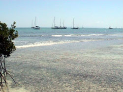Anegada: la laguna interna e la bassa marea !