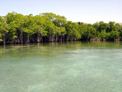 Biras Creek