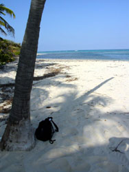 Eustatia Island: la spiaggia