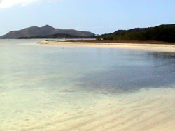 Trellis Bay: la spiaggia