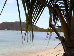 Trellis Bay: vista dalla spiaggia-