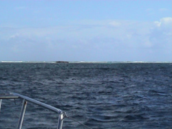Prickly Pear: il reef
