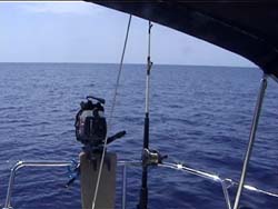 La nostra canna da pesca nuova fiammante!