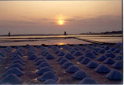 Le Saline di Marsala