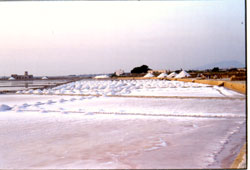 Le saline e il sale