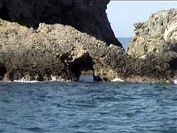 Le coste dell'Argentario
