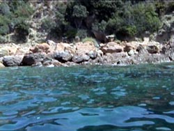 Girolata Tour