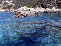 Girolata Tour