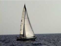 Avvistiamo un First 33.7