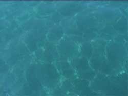 Mare di Ponza a Chiaia di Luna