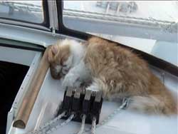E' tempo di relax