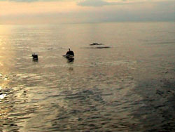 Salti al tramonto