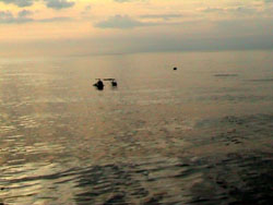 Pinne all'orizzonte