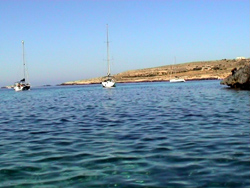 Vista di Y2K - Cala del Preveto