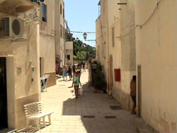 Scorci di Levanzo - le calde tonalit del tufo
