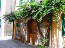 Bottega del legno