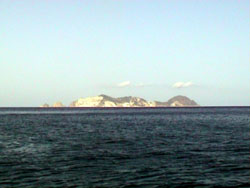 Palmarola