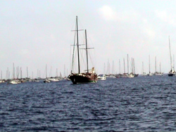 Affollamento a Panarea