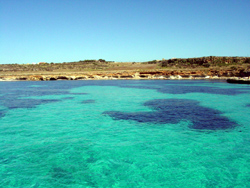 Il mare del Preveto