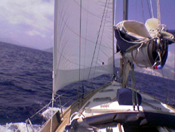 Verso Panarea con il solo Genoa !
