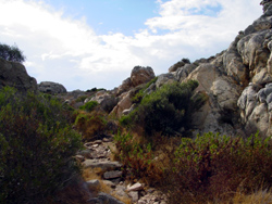 Caprera: il sentiero verso Cala Coticcio