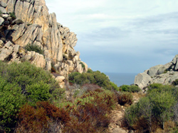 Caprera: sentiero verso Cala Coticcio