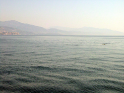 Costa Azzurra: pinne in lontananza...