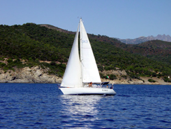 Incrociamo Stellina.