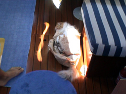 Willy ed il sacchetto