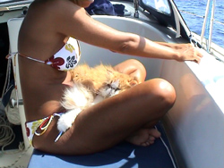 Verso Ustica: Tattico in meditazione.