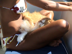 Verso Ustica: Tattico in meditazione.