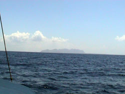 Isole Egadi: avvistiamo Favignana