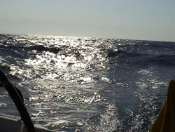 Verso le Isole Egadi: il mare monta.