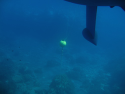 Ustica: gavitello sommerso.