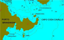 Capo Coda Cavallo